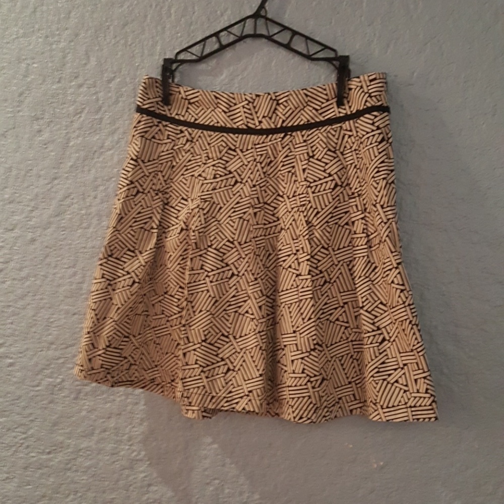 Ann Taylor Pleated Skirt